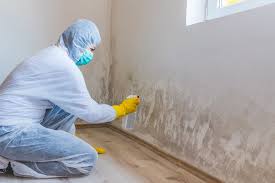 Why you should choose our mold remedi tion services in #city