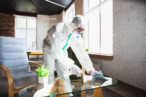 Mold Remediation for Vacation Homes in West Bend, WI