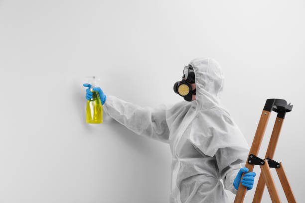 Professional Mold Removal & Remediation in West Bend, WI